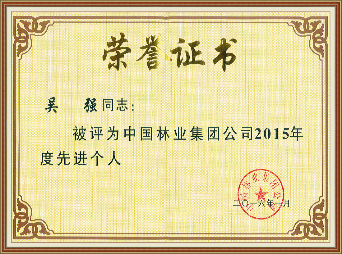 中國林業(yè)集團(tuán)公司2015年度先進(jìn)個人